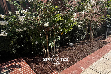 Planters & Bioretention Ponds